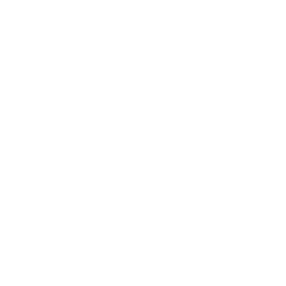 Hoodie Classic Design